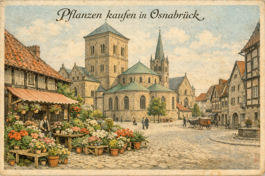 Blumenläden in Osnabrück: 5 Adressen für echte Blumenliebe