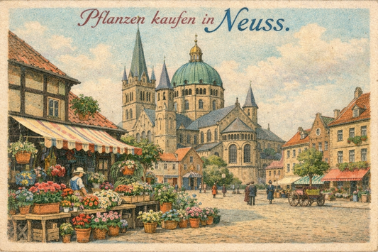 7 Blumenläden in Neuss, die einfach glücklich machen