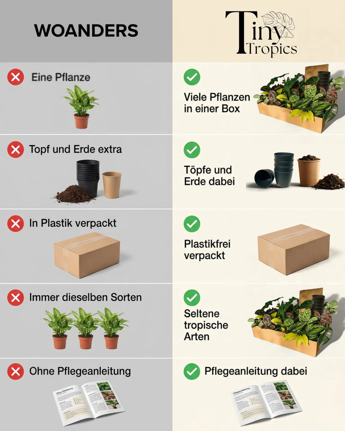 Tiny Tropics Box 10er + Töpfe